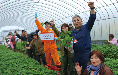 甘熟美腸やきいも 150g×25袋 合計3.75kgだいがくいも カリッ 甘い あま～い あまーい デザート スイーツ さつま芋 サツマイモ 芋 お弁当 おやつ お菓子 国産 ぶつ切り 懐かしい味