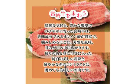 宮崎牛すき焼きしゃぶしゃぶ用赤身肉＆霜降りスライス肉(700g) 黒毛和牛2種詰め合わせセット TF0614-P00020