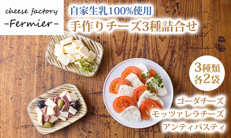 宮崎有田牧場直送 有田牧場直送 「チーズ工房フェルミエ自家製チーズの詰め合わせ」 TF0620-P00037