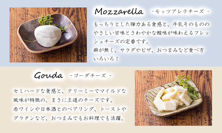 宮崎有田牧場直送 有田牧場直送 「チーズ工房フェルミエ自家製チーズの詰め合わせ」 TF0620-P00037