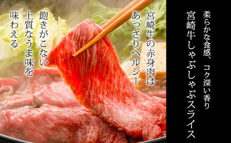 日本一美味しい黒毛和牛「宮崎牛」のサイコロステーキ・スライスセット 650g しゃぶしゃぶやすき焼きでおいしいブランド牛 時短調理に最適なサイコロカット [一人暮らし 国産牛 国産 牛肉 お肉]