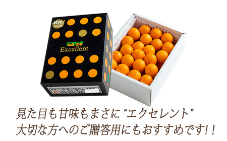 高原町産完熟きんかん『たまたまエクセレント』2Lサイズ1kg  [宮崎県産 金柑 まるかじり お菓子 甘露煮 サラダ] TF0051-P00015