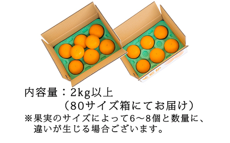 【先行受付・数量限定】柑橘の高級種ブランド 高原町産の柑橘「せとか」ご家庭用 約2kg（大小混合6～8玉） TF0746-P00068