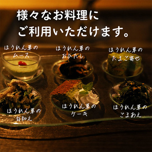 《大容量10kg》九州産 ほうれん草 業務用 コスパ最強と話題の冷凍法蓮草 [冷凍野菜 法連草] TF0590-P00019