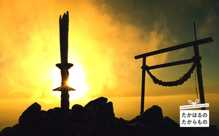 【※返礼品なし】高原町への応援寄附金(2,000円分) TF1002-P00049