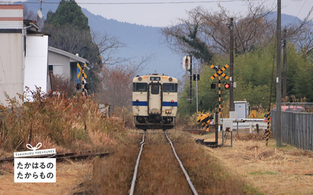 【※返礼品なし】高原町への応援寄附金(2,000円分) TF1002-P00049