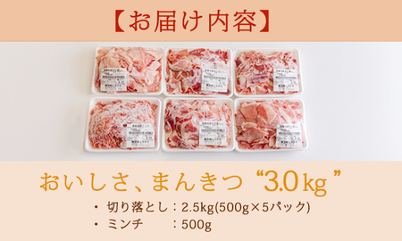 高原育ちの宮崎県産豚肉切り落とし＆ミンチ3kg おいしさ満喫 アレンジ色々 [夕食 お弁当 一人暮らし 万能食材 生姜焼き しゃぶしゃぶ ハンバーグ 餃子 肉巻き ミートソース 麻婆豆腐]　特番766