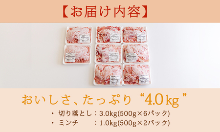 高原育ちの宮崎県産豚肉切り落とし＆ミンチ4kg おいしさたっぷり アレンジ色々 TF0767-P00070