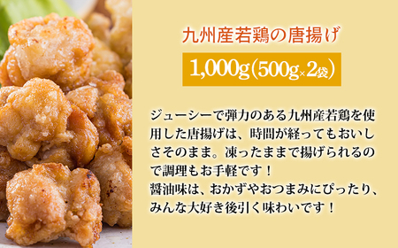 国産素材のお惣菜Ａセット計3.1kg (ピーマン肉詰め ハンバーグ 唐揚げ) 九州産コスパ・ボリューム満点 使いきりサイズ  TF0776-P00064