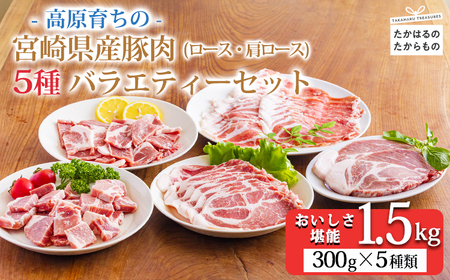 おいしさ満喫　高原育ちの宮崎県産豚肉5種バラエティーセット1.5kg 　TF0779-P00070