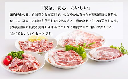 おいしさ満喫　高原育ちの宮崎県産豚肉5種バラエティーセット1.5kg 　TF0779-P00070