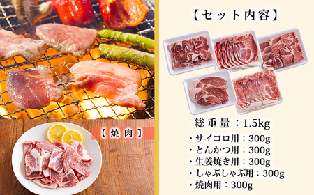 おいしさ満喫　高原育ちの宮崎県産豚肉5種バラエティーセット1.5kg 　TF0779-P00070