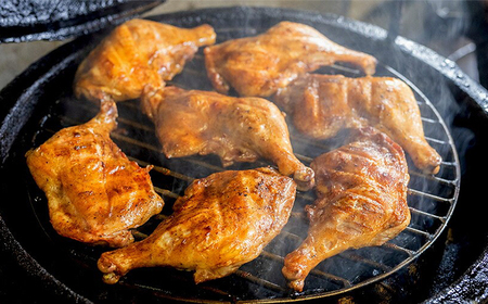 宮崎県 九州産若鶏のごて焼き 訳アリ10本セット TF0520-P00016