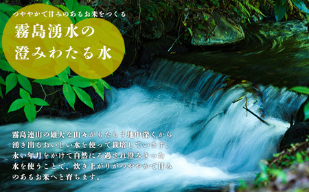 霧島湧水が育む「きりしまのゆめ」ヒノヒカリ2kg（特別栽培米・無洗米・真空チャック式）TF0763-P00026