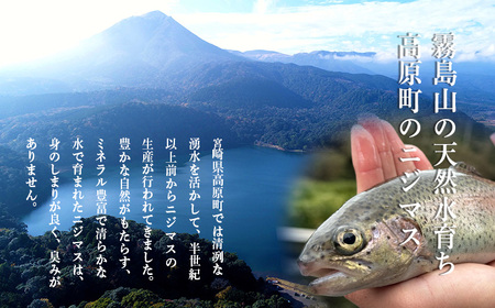 ニジマスの干物《奥霧島の山河の恵み》国産の天然塩と魚醤で味付けた川魚「虹鱒」の開き [焼き魚 干し魚 無添加 ひもの 奥霧島ドライレインボートラウト]  TF0791-P00045