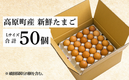 宮崎県産たまご『きみの力(チカラ)』Lサイズ大玉の卵50個 　TF0793-P00035