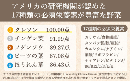 《美容や健康が気になる人に!》無添加クレソンパウダー 国産のオランダガラシ100%使用　TF0794-P00074 