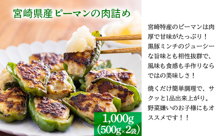 焼くだけ簡単惣菜セット!国産素材のハンバーグ&ピーマンの肉詰めセット2.2kg  TF0813-P00064