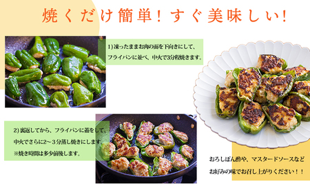 国産黒豚と肉厚な宮崎県産ピーマンを使用 ピーマンの肉詰め1.0kg(500g×2p)TF0823-P00064
