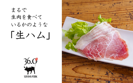 ソヤマポークのこだわり生ハム3種セットTF0827-P00078
