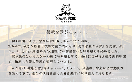 ソヤマポークのしゃぶしゃぶ食べ比べ4種セットTF0828-P00078