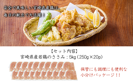 宮崎県産若鶏ささみ（筋なし）5.0kg（250g×20P） TF0840-P00063