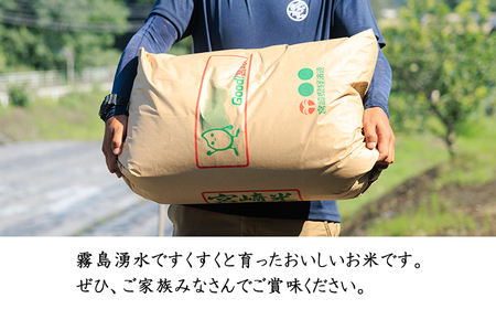 【令和7年産 新米】宮崎県高原町産 ひのひかり白米 5kg TF00854-P00079
