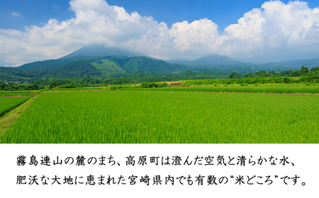 【令和7年産 新米】宮崎県高原町産 ひのひかり白米 定期便10kg×3ヶ月(計30kg) TF00857-P00079