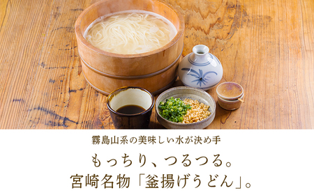 《ふるさとの高原の味》霧島の恵み！ごちそううどんセット[釜揚げうどん 万能味噌 ヒノヒカリ 鶏炭火焼 特産品詰合せ セット おかず おつまみ 贈り物 ギフト ワンストップオンライン 10000円以下] TF0858-P00008