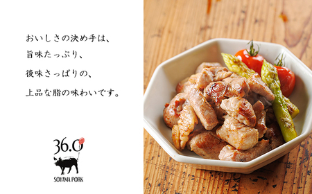 ソヤマポークの加工品詰め合わせ[ロース バラ モモ パンチェッタ サイコロステーキ みそぶた おつまみ パーティー]TF862-P00078