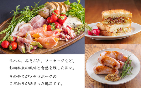 ソヤマポークの加工品詰め合わせ[ロース バラ モモ パンチェッタ サイコロステーキ みそぶた おつまみ パーティー]TF862-P00078