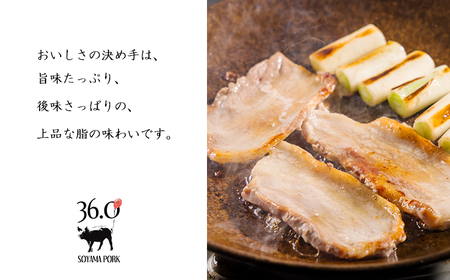 ソヤマポークの焼肉・炒め物セットTF863-P00078