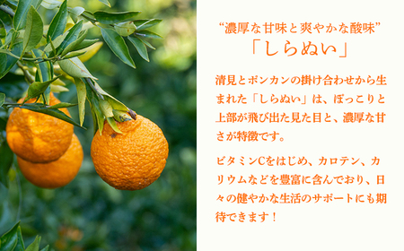 濃厚な甘さ 手搾り不知火(しらぬい)果汁200ml×3p [保存料不使用20000円 ワンストップオンライン] TF0883-P00074