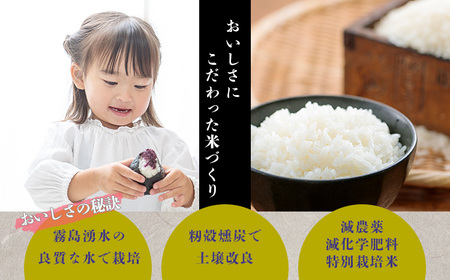 「令和6年産」【新米】霧島湧水が育む「きりしまのゆめ」夏の笑み(無洗米)12kg 減農薬栽培のお米 TF0268-P00026