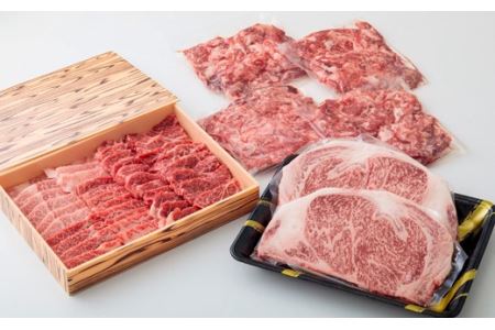 《内閣総理大臣賞の黒毛和牛》宮崎牛キングセット(2.6kg)　TF0287-P00020