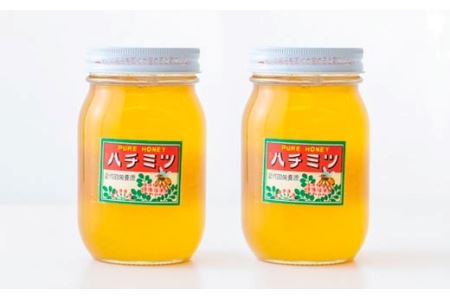 高原町産天然はちみつ1.2kg(600g×2本) 国産の産地直送蜂蜜(2個) TF0364-P00011