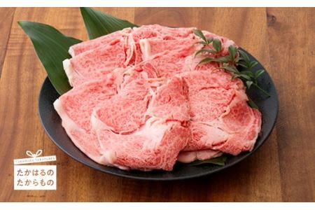 日本一美味しい黒毛和牛「宮崎牛」の肩ロース 550g 内閣総理大臣賞4大会連続受賞のブランド牛 TF0384-P00007