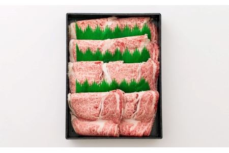 日本一美味しい黒毛和牛「宮崎牛」の肩ロース 550g 内閣総理大臣賞4大会連続受賞のブランド牛 TF0384-P00007