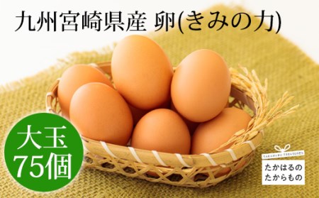 九州産 産地直送たまご『きみの力(チカラ) Lサイズの大玉卵75個 [大容量 玉子 国産 日本産 高原町産 産直 新鮮] 特番406