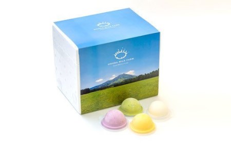 彩りアイスクリーム・アイスミルク詰め合わせ　TF0441-P00023