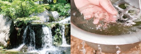 高原有田牧場直送「この華牛」切落しスライス (1kg) 赤身は旨味たっぷりでコク深い国産牛 TF0458-P00037