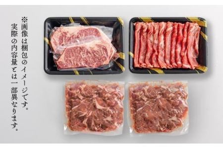 黒毛和牛Aセット(1kg) ステーキ・スライス・切り落とし詰め合わせ TF0561-P00020