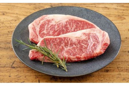 黒毛和牛Aセット(1kg) ステーキ・スライス・切り落とし詰め合わせ TF0561-P00020