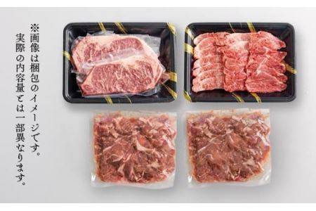 黒毛和牛Bセット(1kg) ステーキ・焼肉・切り落としの牛肉詰め合わせ TF0562-P00020