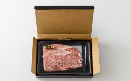 宮崎牛ロースステーキ 2枚（500g）　TF0542-P00043