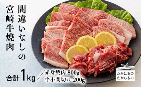 宮崎牛赤身焼肉（ウデまたはモモ）800g＆黒毛和牛小間切れ 200g　TF0545-P00043
