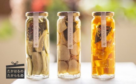 アートピクルス3本セット　TF0504-P00030