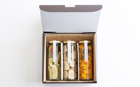 アートピクルス3本セット　TF0504-P00030