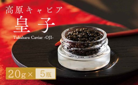Takaharu Caviar（たかはるキャビア）『皇子』20g×5瓶セット　特番515