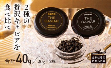 THE・CAVIAR（ザ・キャビア）2種食べ比べセット 合計40g　TF0509-P00066